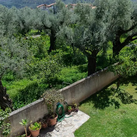 Villa Danae Diakopto Dış mekan fotoğraf